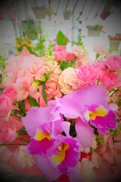 今年もよろしくお願いいたします｜「サンフラワーショップ花門」　（宮城県多賀城市の花キューピット加盟店 花屋）のブログ